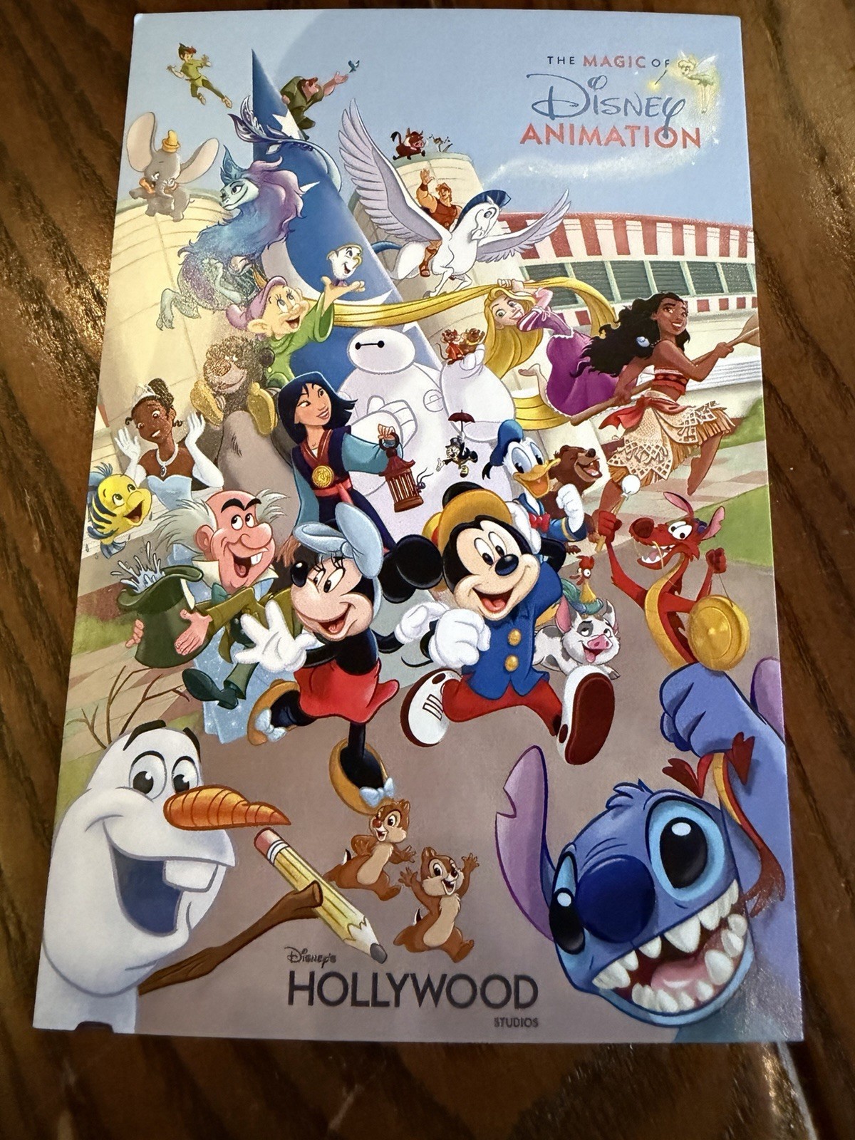 Disney Studios Animation 2026 Grand Opening Postcard Stitch Mickey Tangled Olaf
