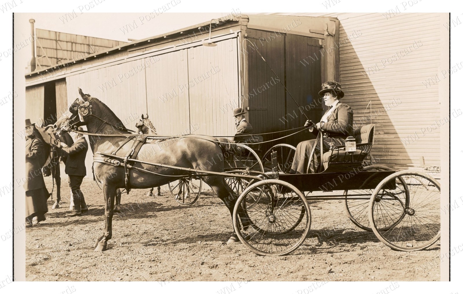 Brookline Massachusetts 1913-1914 Riding School Horse Buggy Standard Postcard
