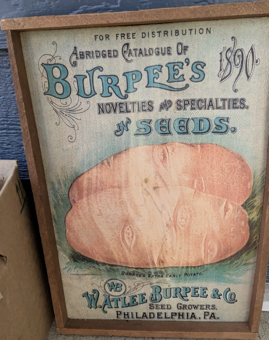 Flash Sale 18.00 W. Atlee Burpee & Co. 1890 Seed Advertising Sign 
