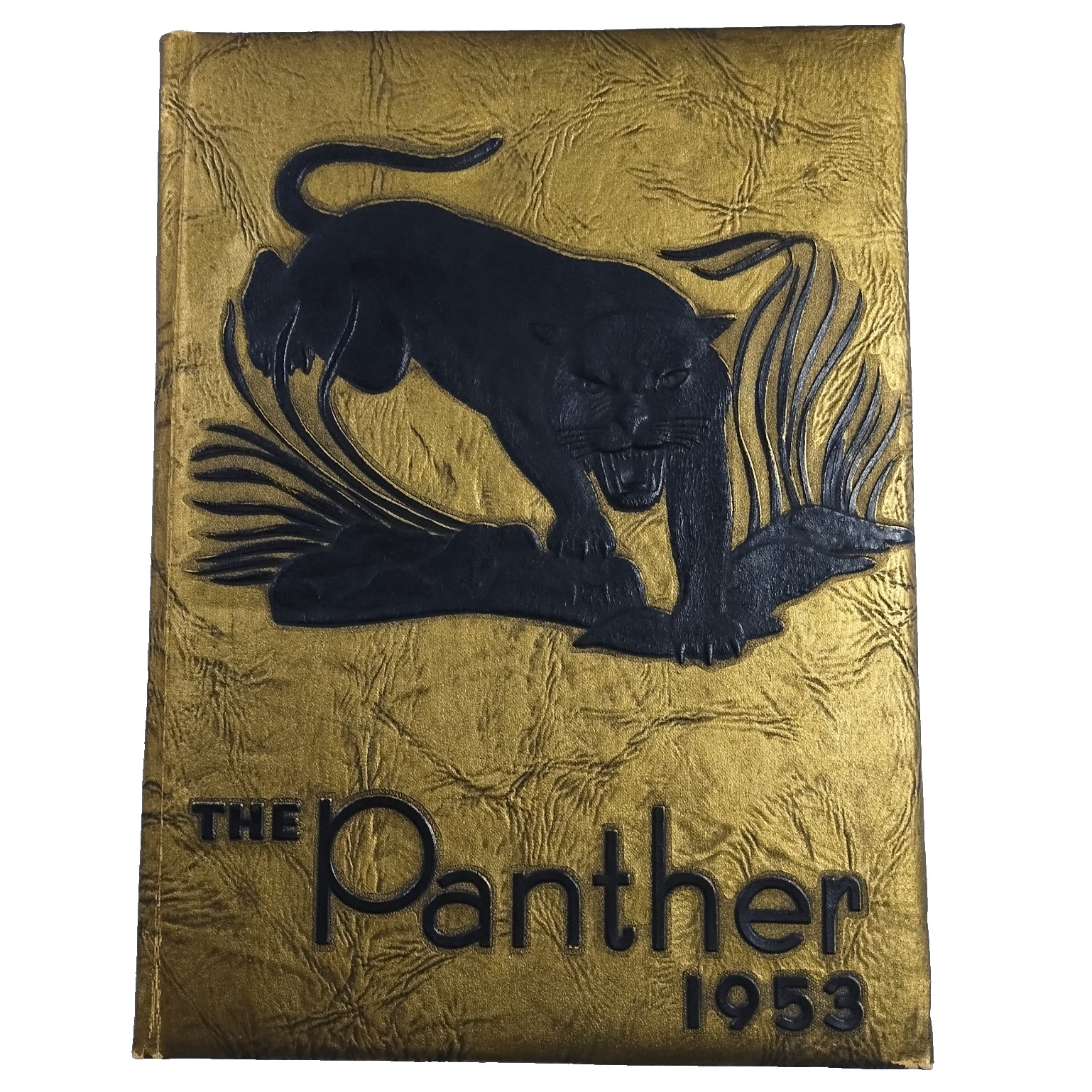 The Panther 1953 Yearbook Bennett High School Chatham County NC RARE Defunct The Panther 1953 Yearbook Bennett High School Chatham County NC RARE Defunct