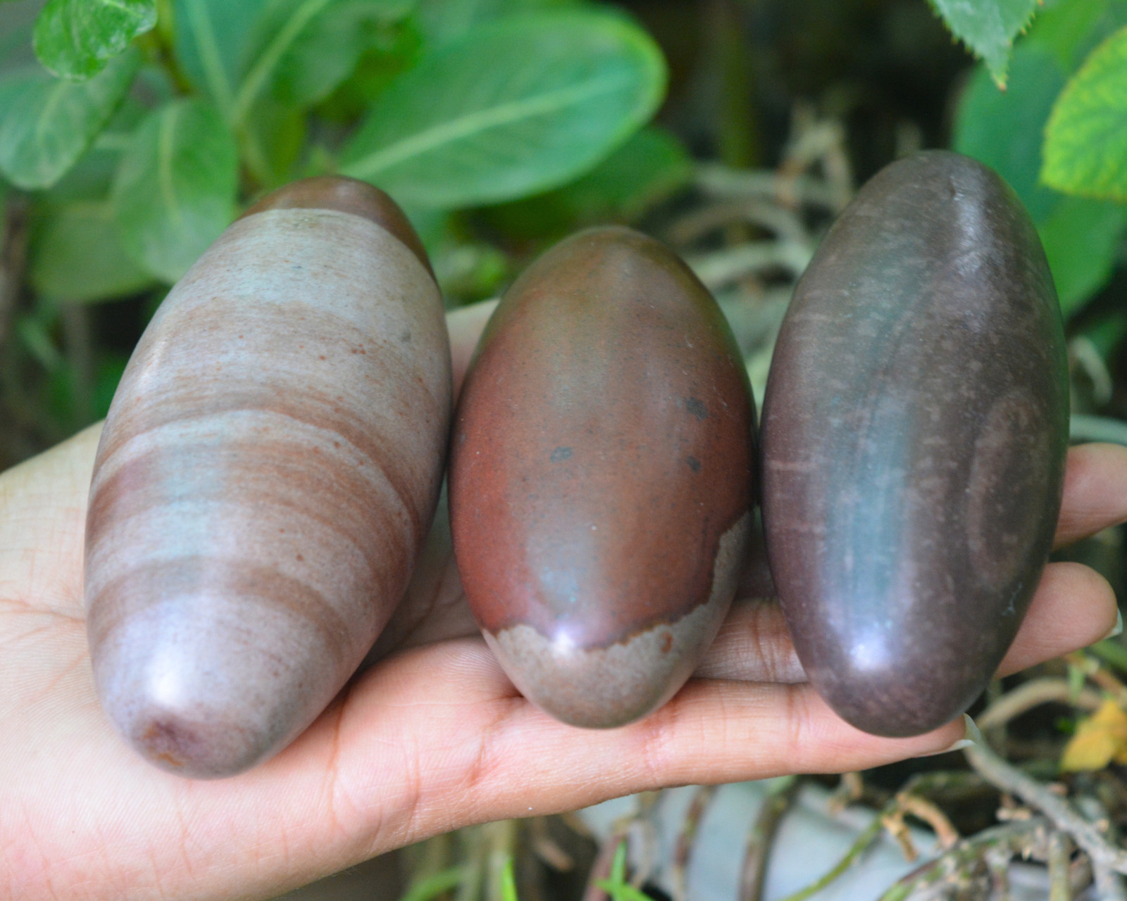 Original/Narmada shivling Original for Elongated Egg Narmadeshwar Shivling-723