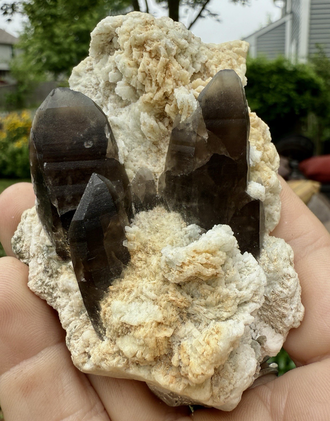 Smoky Quartz W Albite Var. Cleavelandite And Calcite Mt Antero Colorado