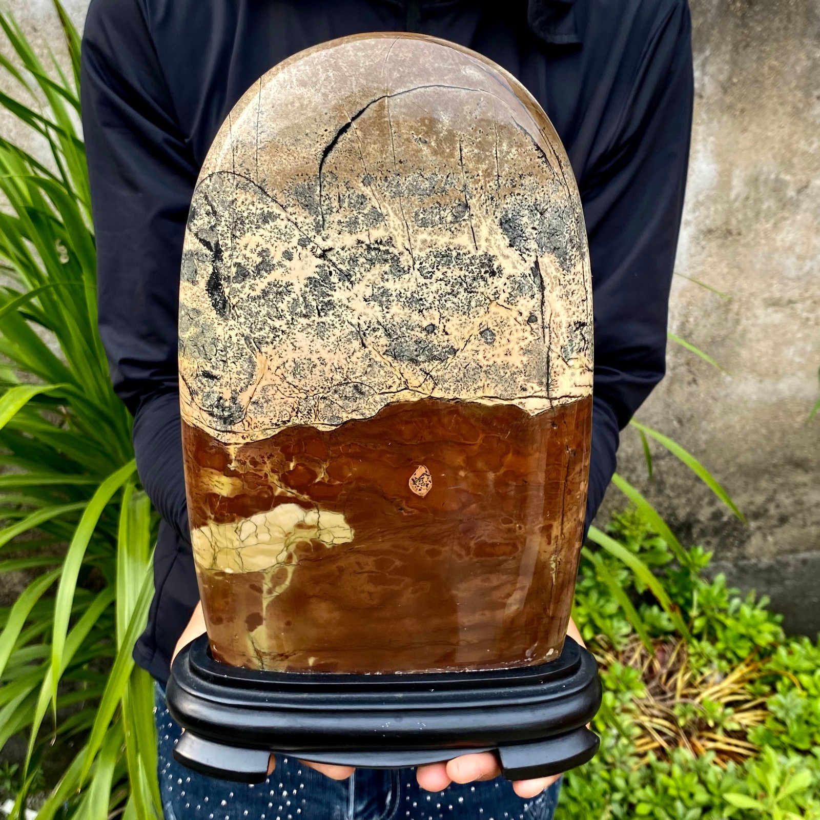 8.64LB Beautiful Natural Chinese Dendritic Limestone Picture Stone Guohua -Rare
