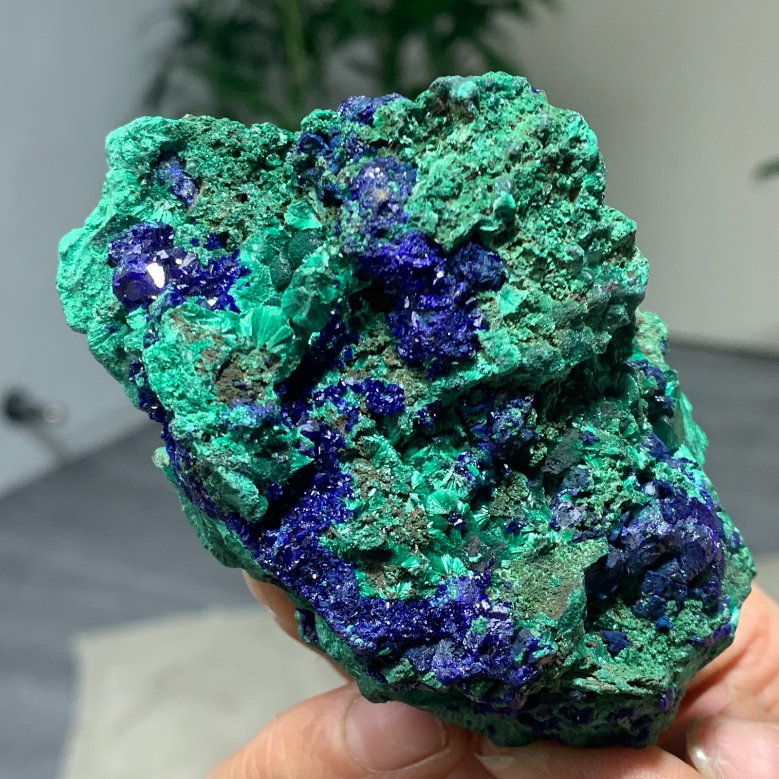 287G BEST Natural Azurite/Malachite crystal minerals specimens D369