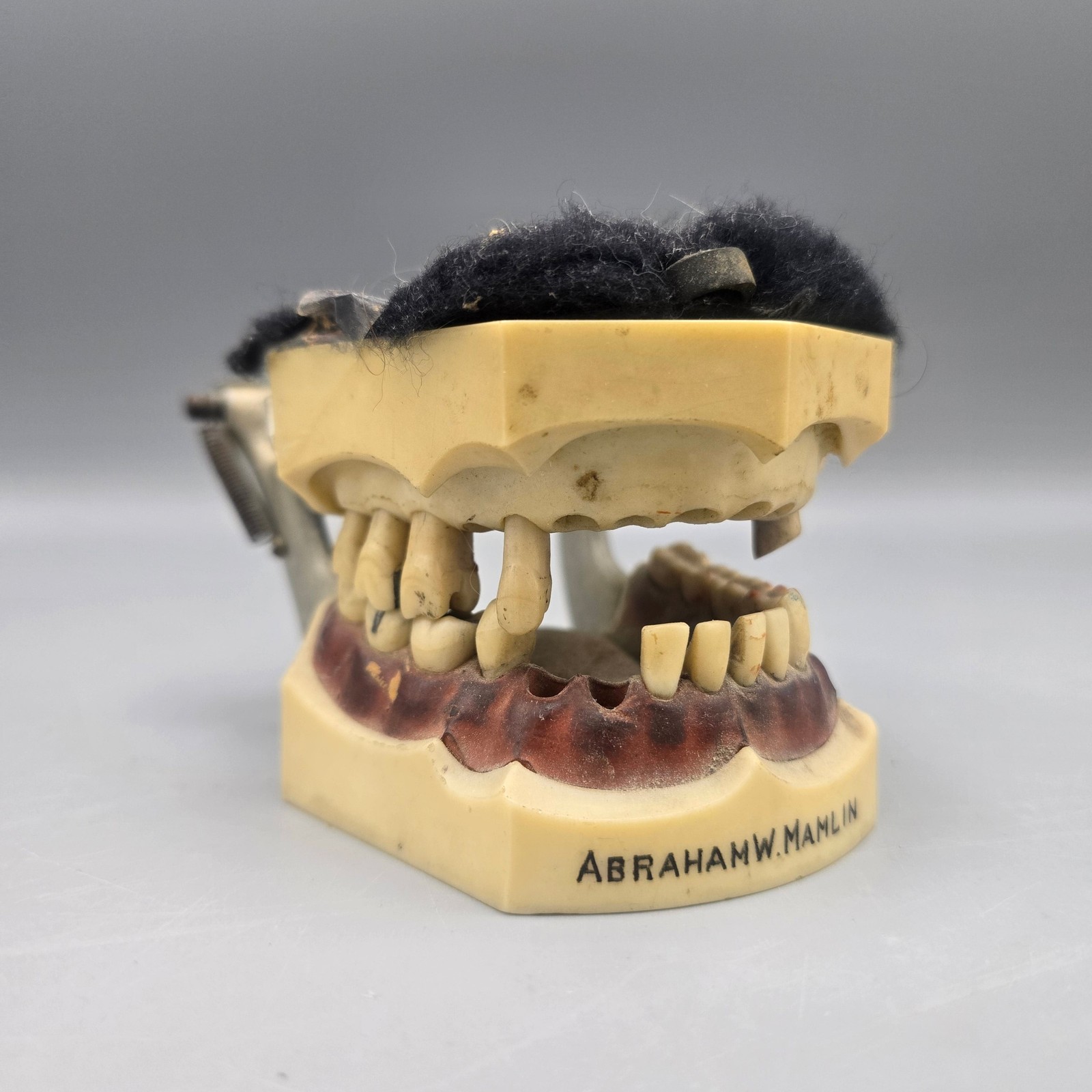 Vintage Mid-Century Dental Typodont Teaching Model Mounted on Metal Articulator