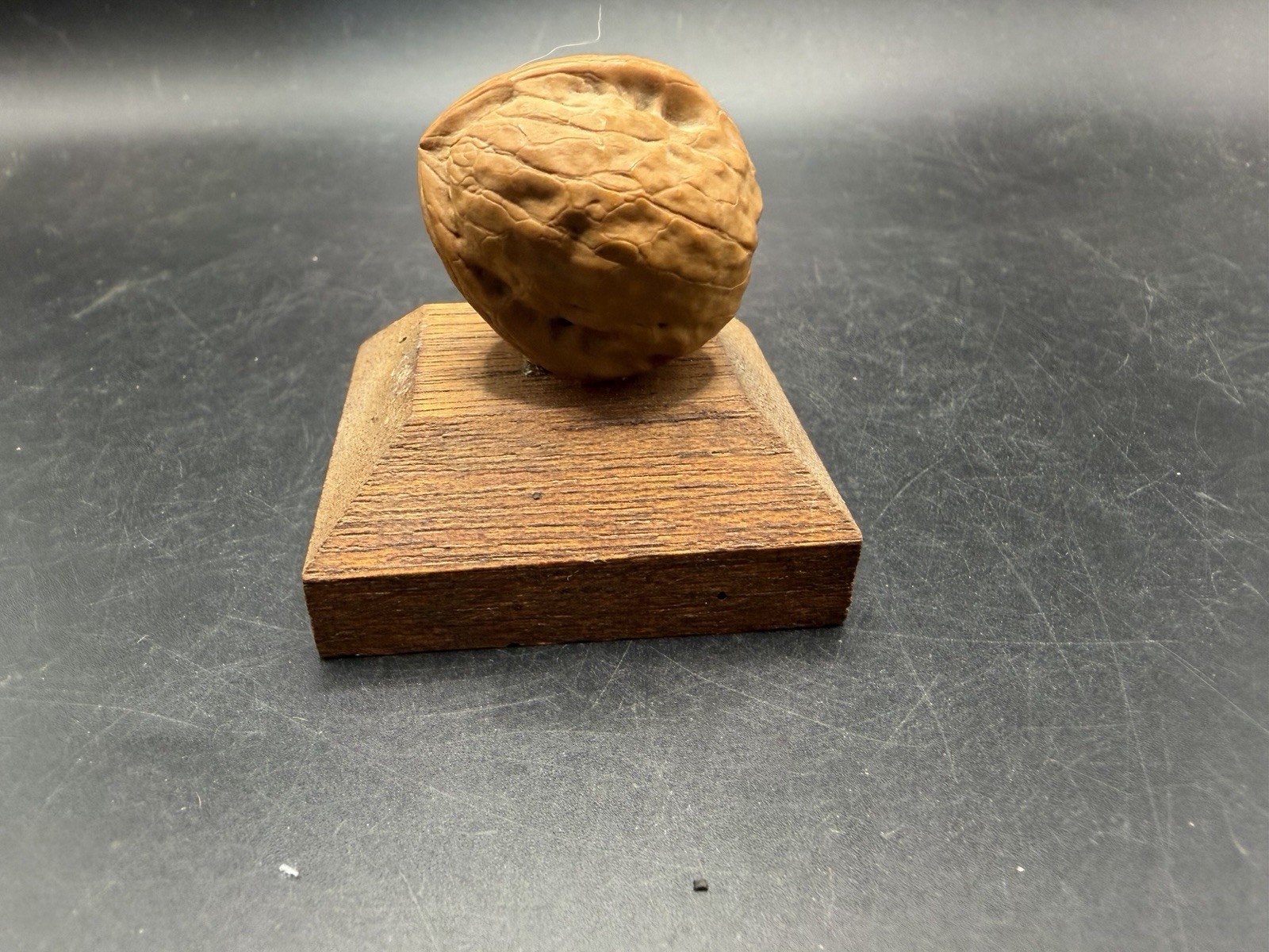 Vintage Wooden Walnut Shell Paperweight Handcrafted Wood Display Figurine 