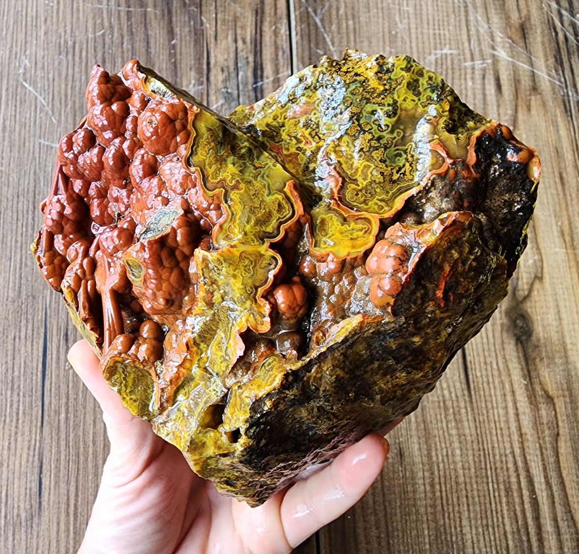2.4 lbs (1.1 kg) Red Botryoidal Agate, Plume Agate Rough, Rare Decorative Rock