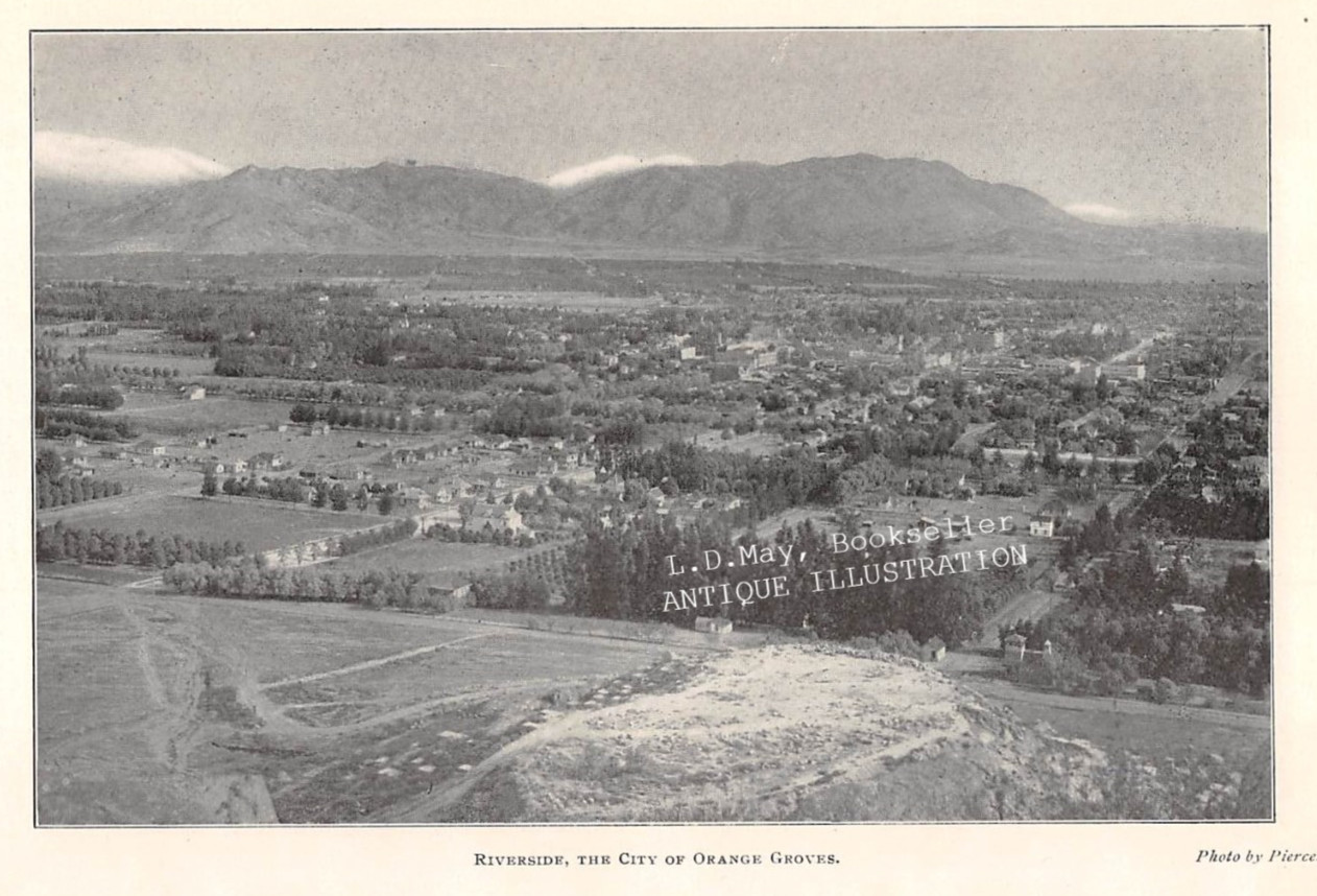 1903 RIVERSIDE CA \