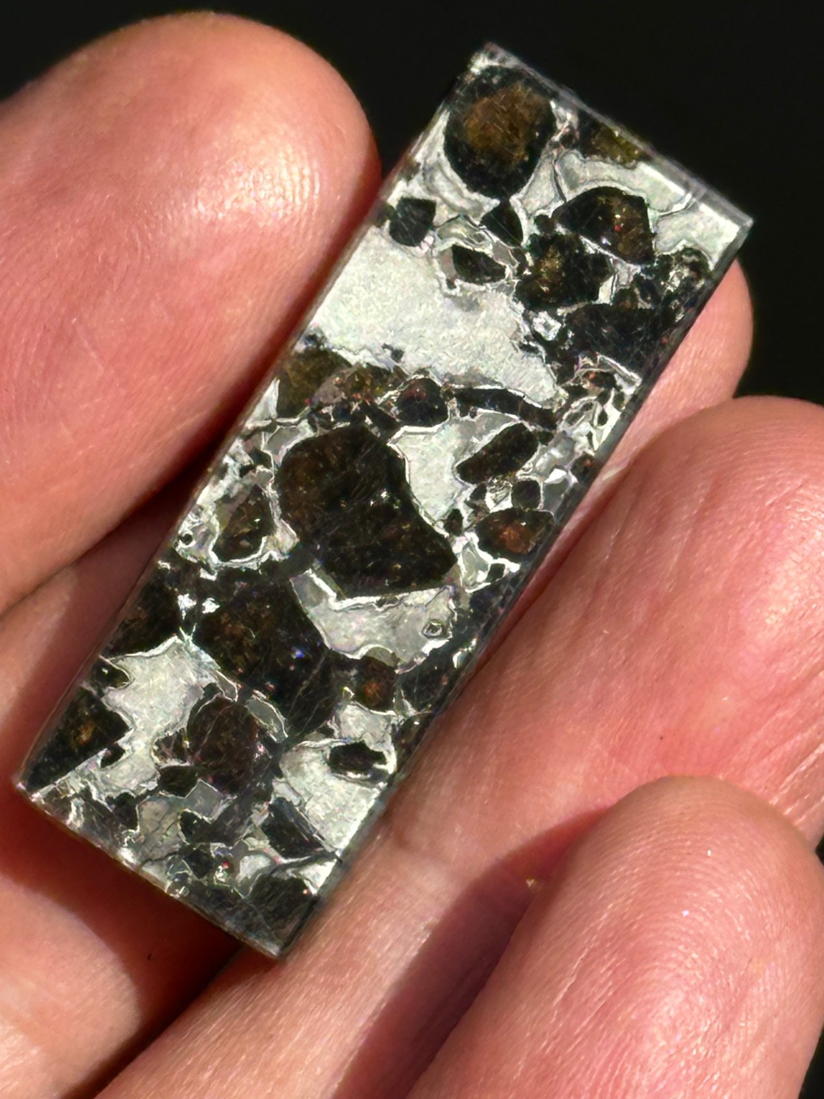 100% Genuine Scarce Gyarub Zangbo Pallasite Meteorite Cut Slice Little Specimen