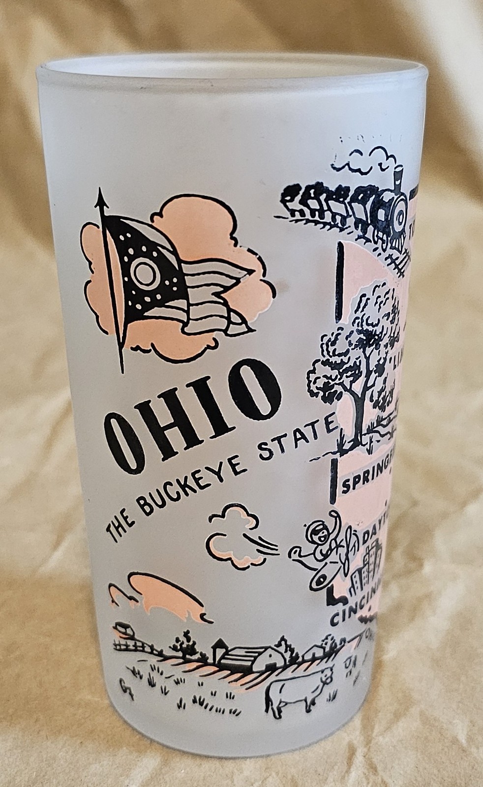 Vintage Frosted Peach Souvenir Tumbler Glass - Ohio - The Buckeye State