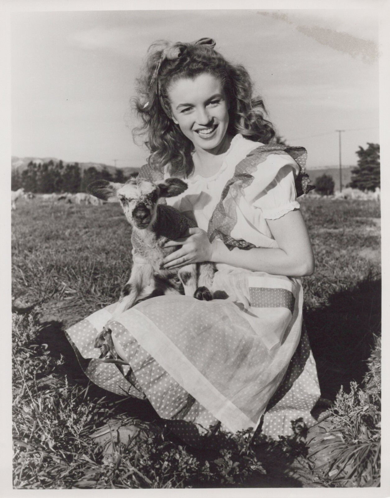 Hollywood Beauty MARILYN MONROE 1970s ANDRE DIENES STUNNING PORTRAIT Photo 703