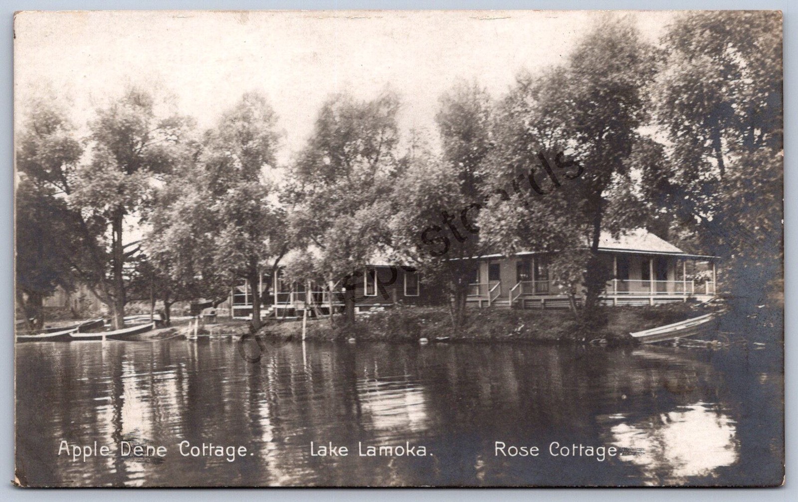 K32/ Lake Lamoka New York RPPC Postcard c10 Apple Dene Cottage Rose 786