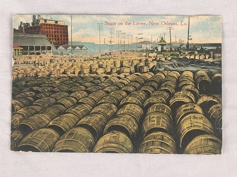 New Orleans Louisiana Sugar on the Levee C1910s Postcard
