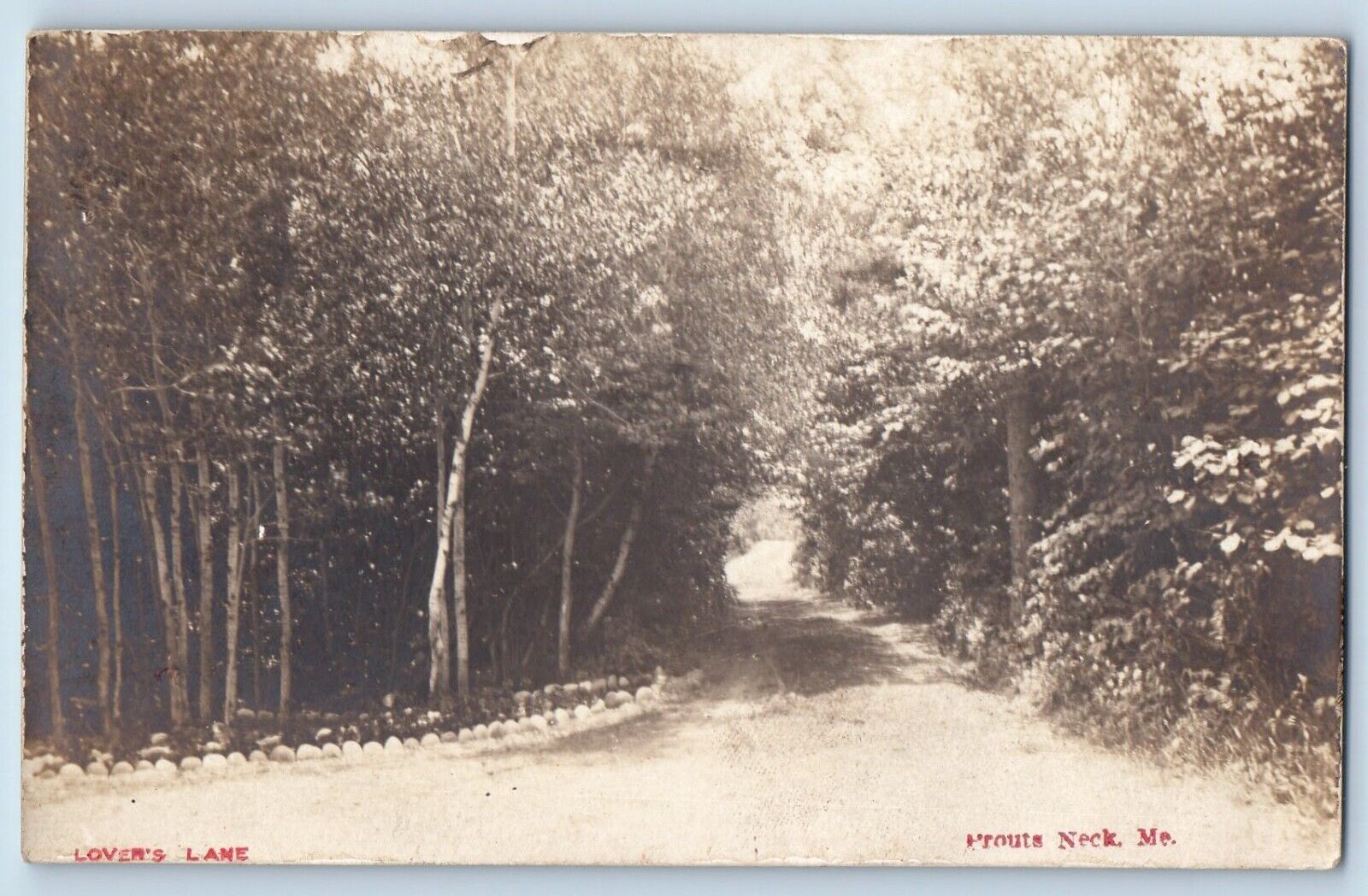Prouts Neck Maine ME Postcard RPPC Photo Lover's Lane Dirt Road 1908 Antique