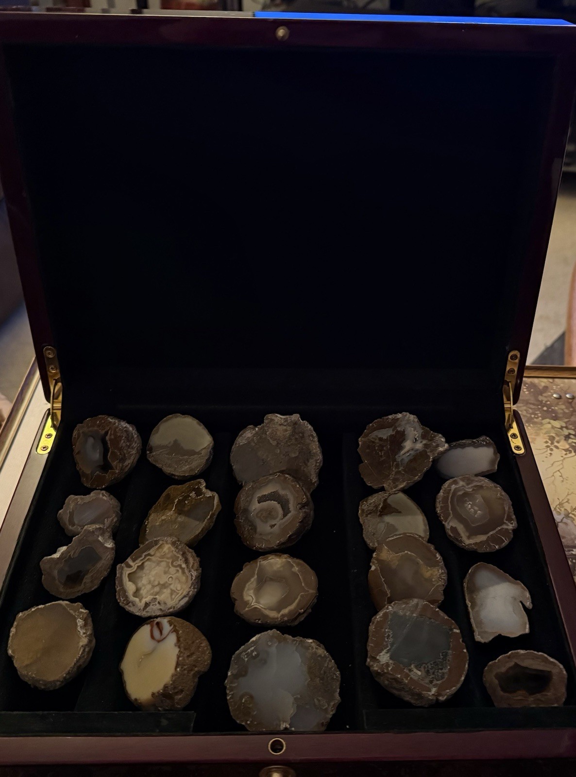 Geode Lot of 20 Put Together In The 1960’s With Beautiful Case