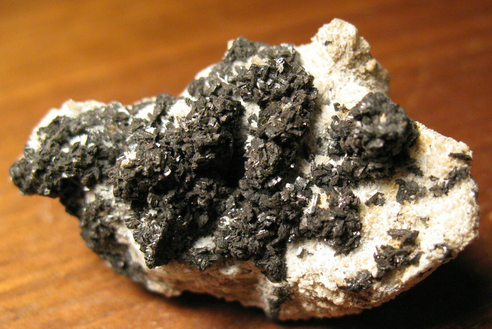 Superb Ferberite Nederland District, Boulder Co., Colorado ex. Alfred Stevenson