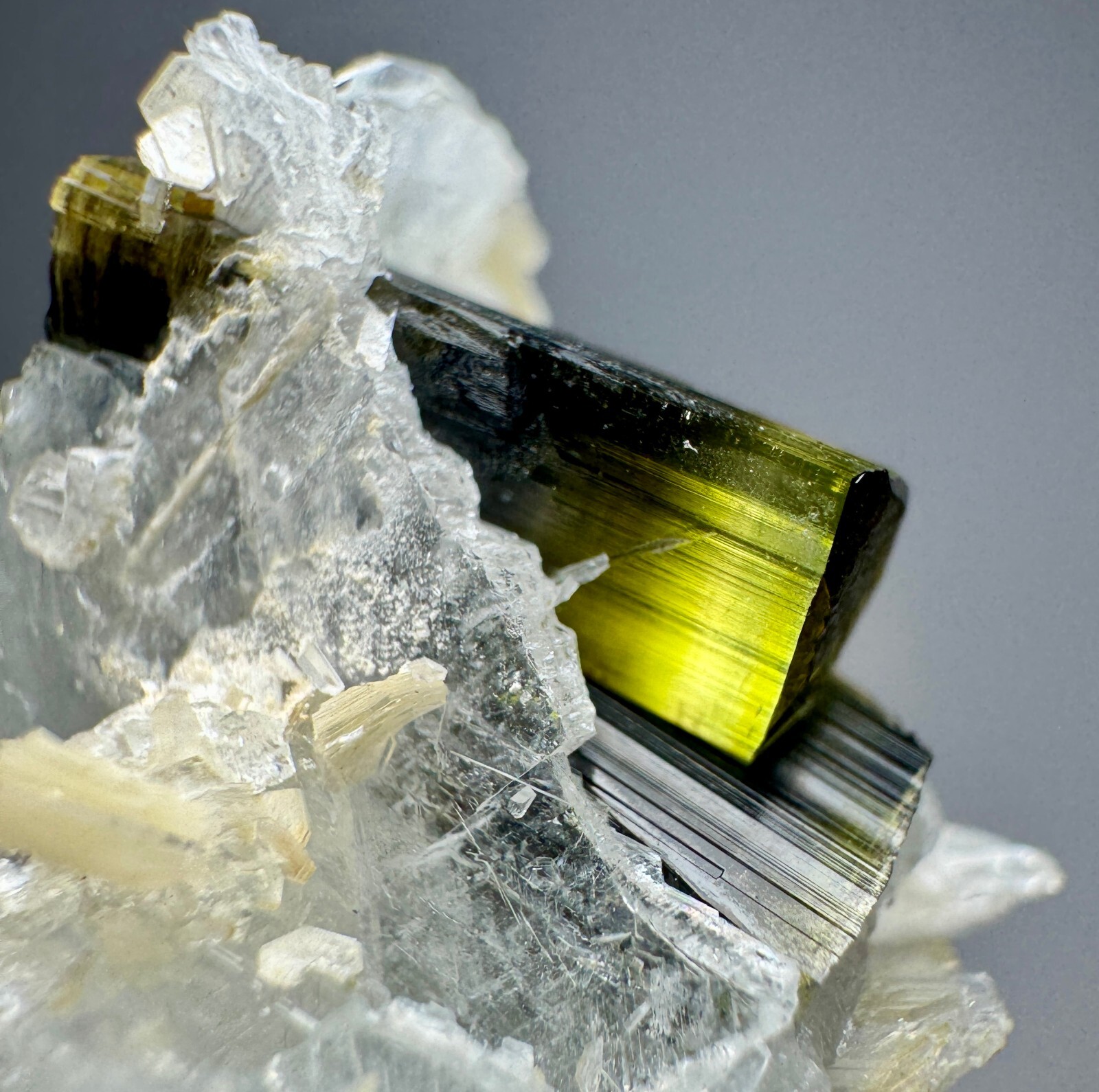 245 Carats Full Terminated Green Cap Tourmaline Crystals, Quartz On Albite @PAK
