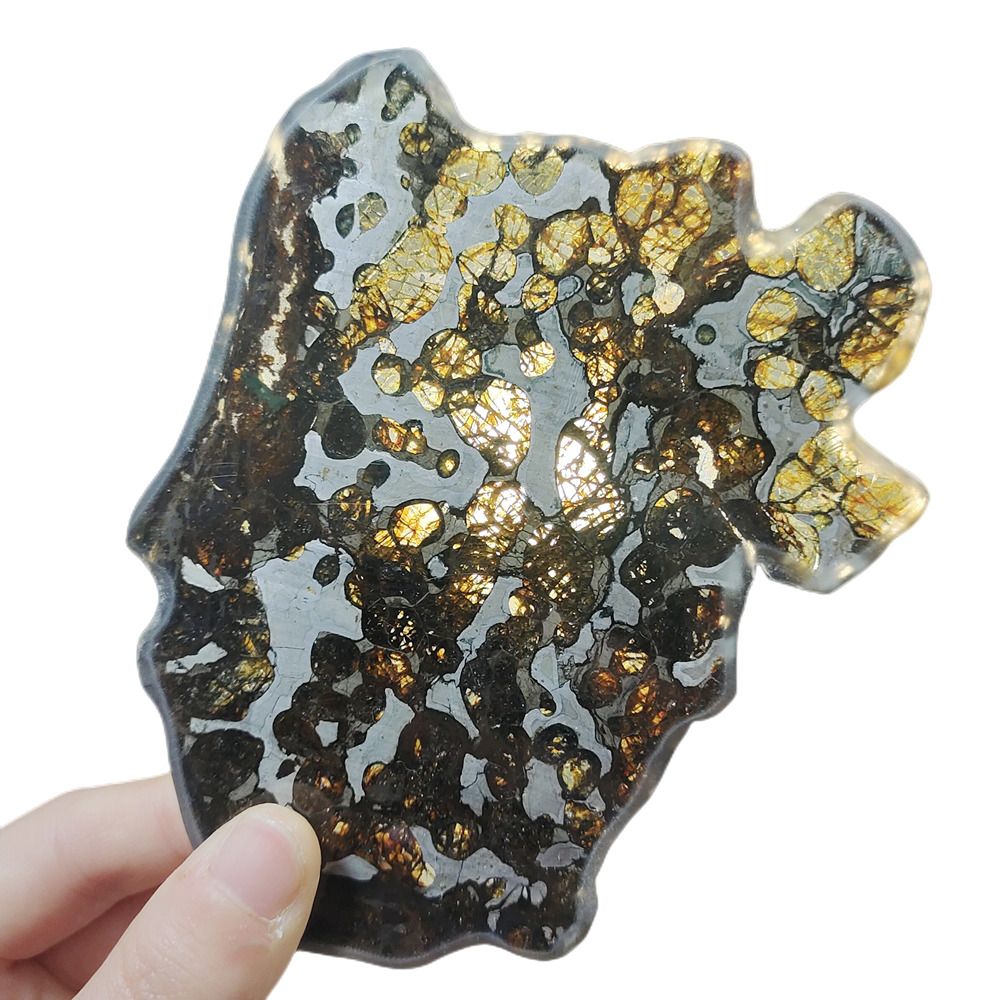 88g  Brenham pallasite Meteorite slice - from usa QA74