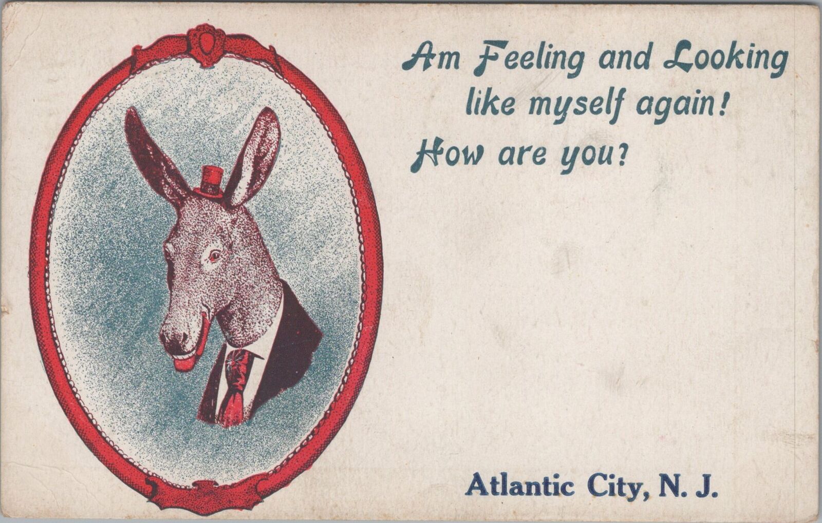 Postcard Am Feeling and Looking Like Myself Again Atlantic City NJ Donkey 1914