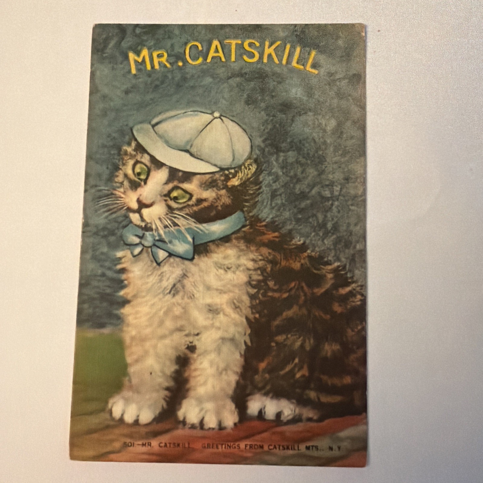 Vintage Postcard Mr. Catskill Cat Catskill Mountains 