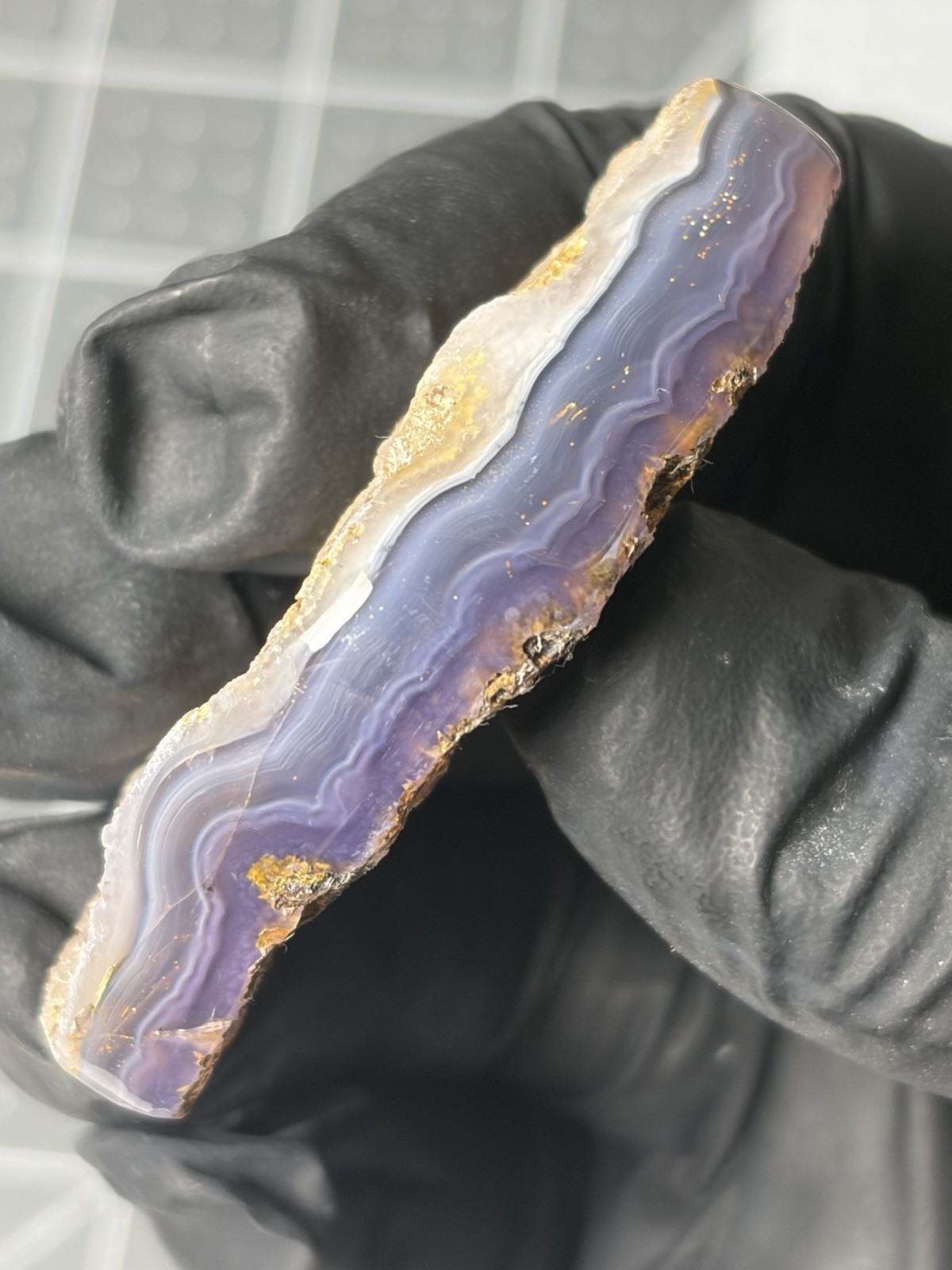 Gemmy Holley Blue Agate Contour Polished Specimen Holly Excellent Banding