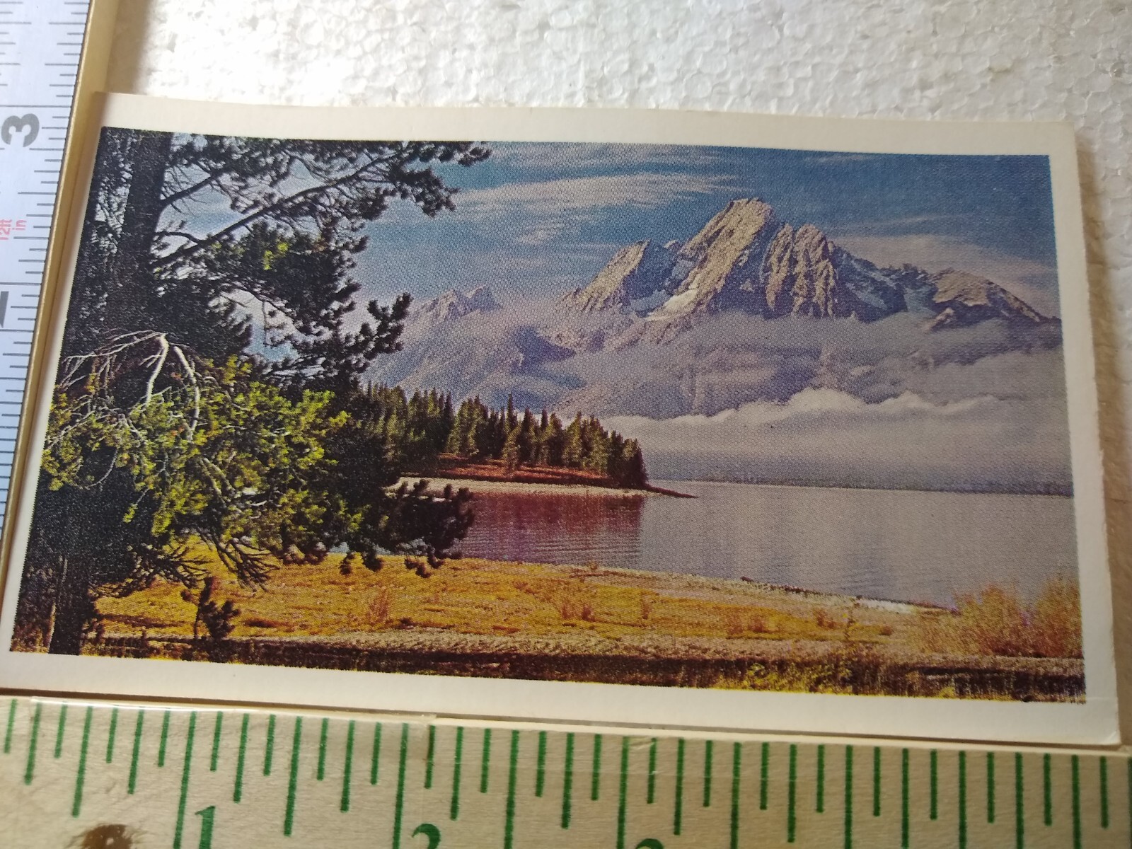 Postcard Mt. Moran Grand Teton National Park Wyoming USA