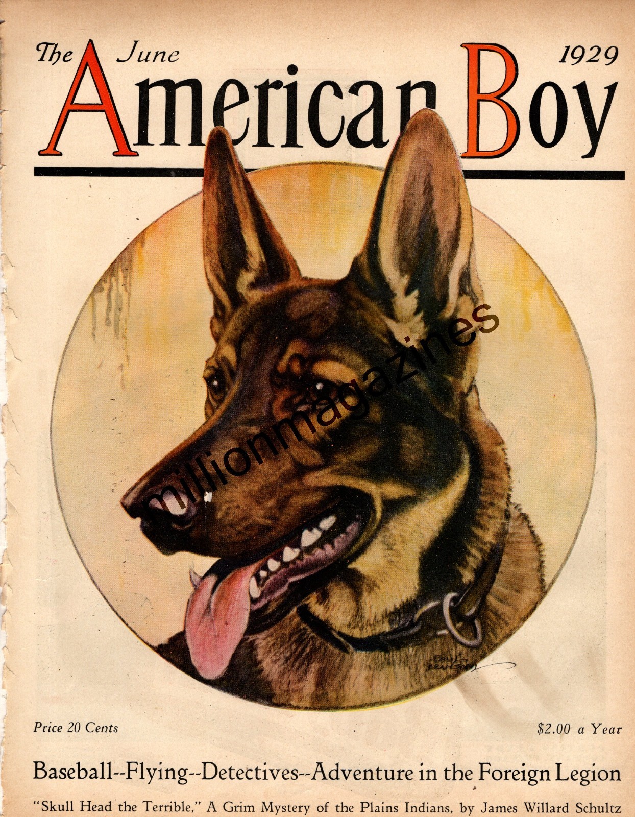 1929 American Boy - June - German Shepherd original cover only 1929 American Boy - June - German Shepherd original cover only
