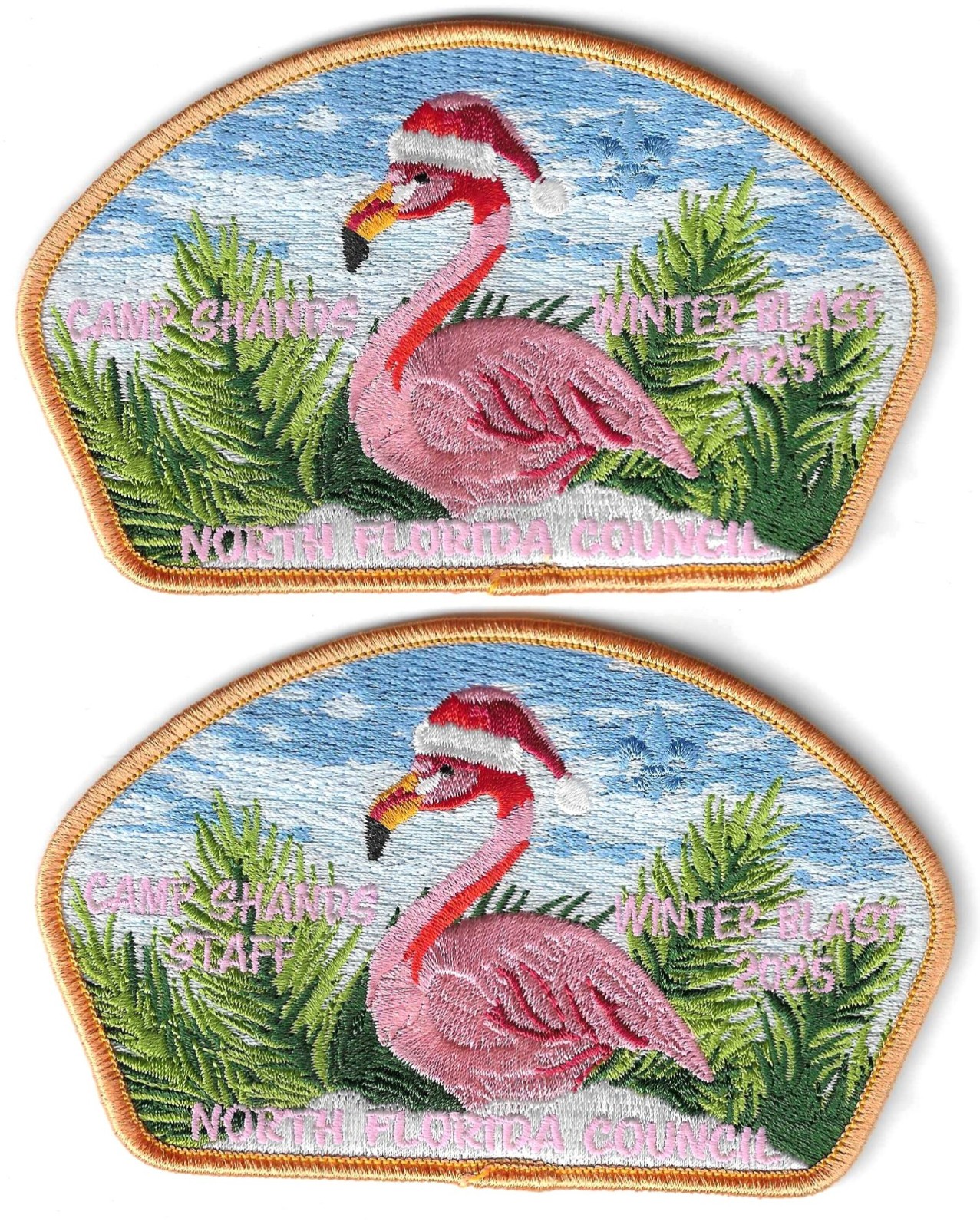 Rare 2025 North Florida Council Winter Blast CSP Set Staff Echockotee Lodge 200