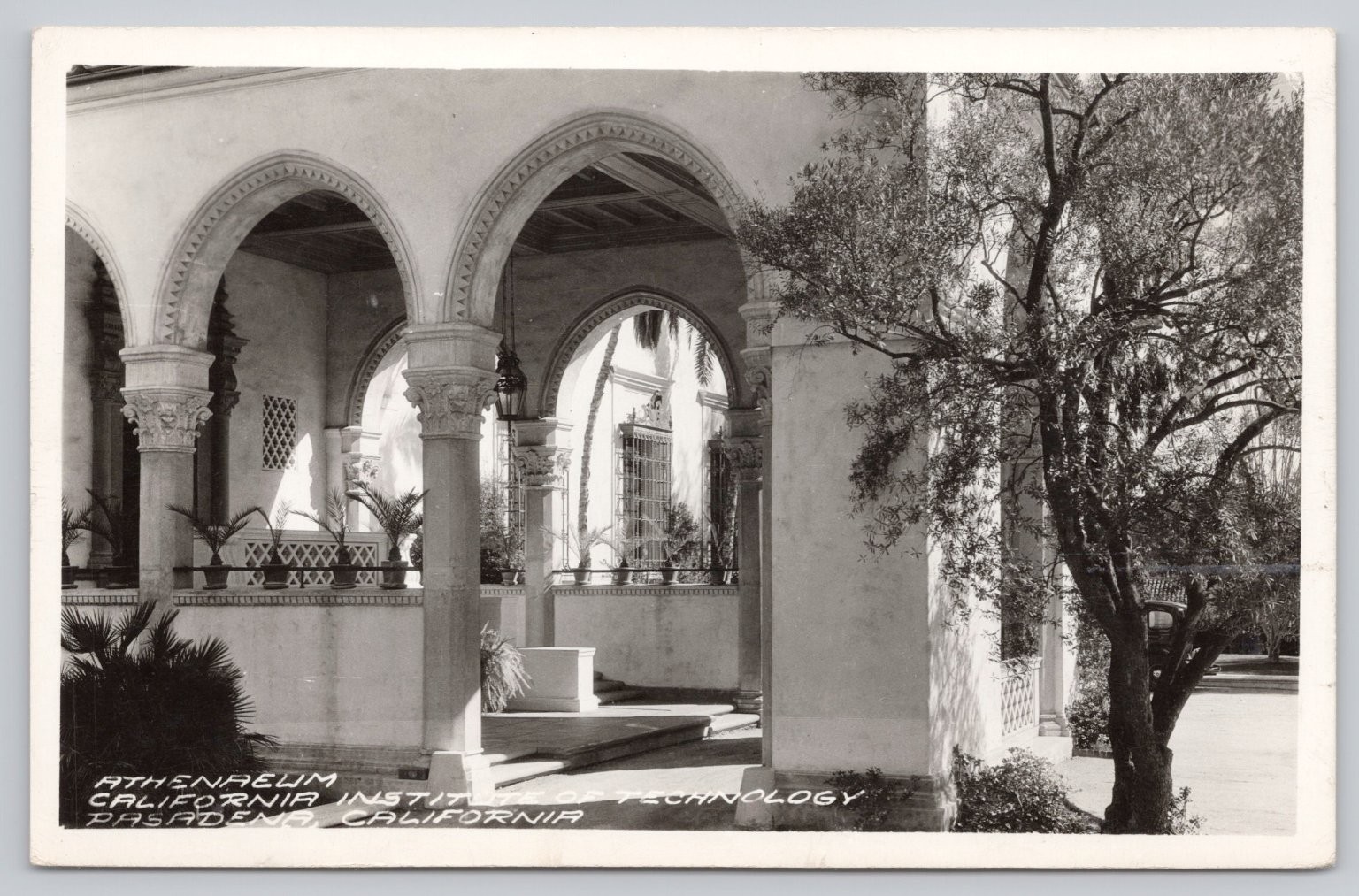 Athenaeum California Institute of Technology Pasadena Vintage RPPC