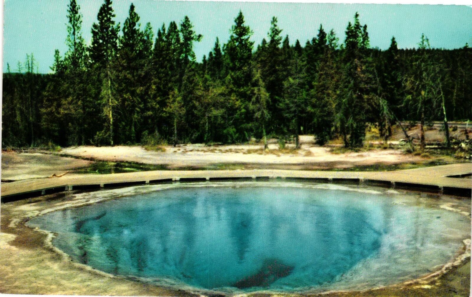 Vintage Postcard- Morning Glory Pool, Yellowstone Park.