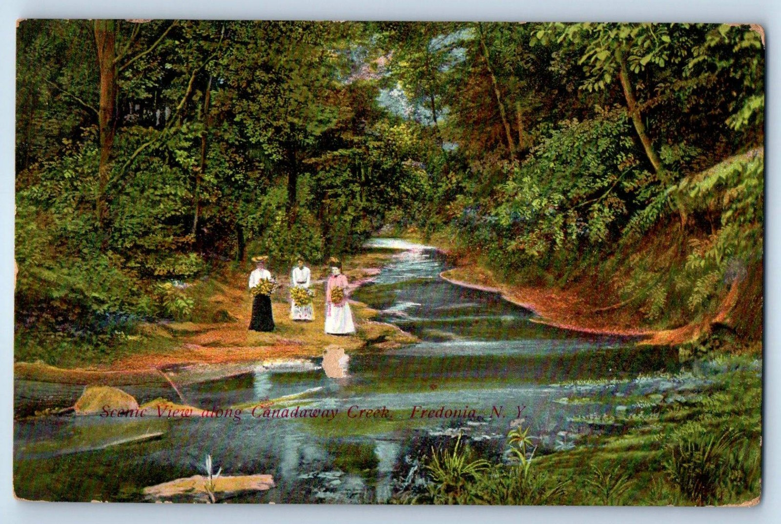 1909 Fredonia New York Vintage Postcard Scenic View Canadaway Creek Scene Posted