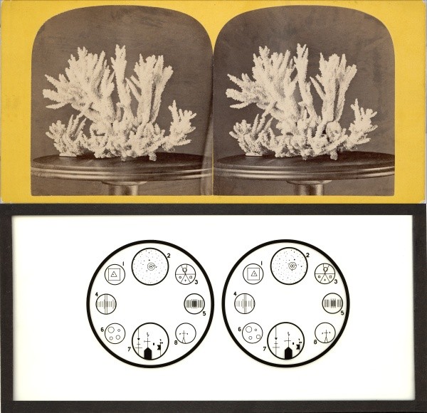 18 Stereoviews Coralle Effects 3 D Wonder Lot 1