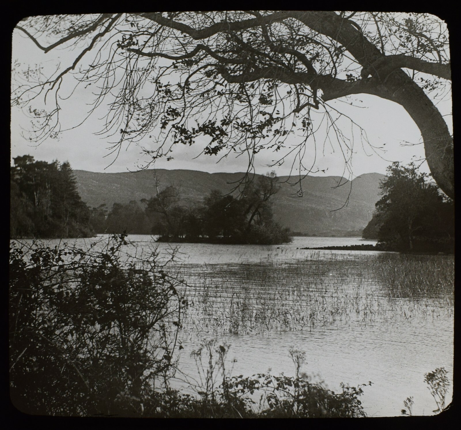 ANTIQUE Magic Lantern Slide LOUGH GILL SILGO C1890 VICTORIAN PHOTO IRELAND  