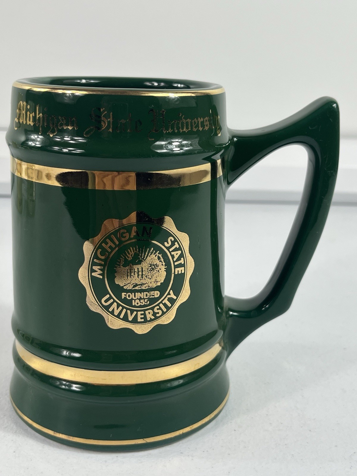 Michigan State  University Beer Stain. Mug