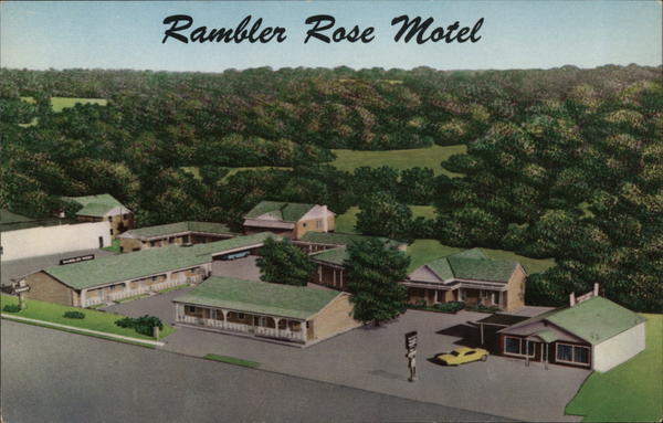 Central City,KY Rambler Rose Motel Muhlenberg County Kentucky Chrome Postcard