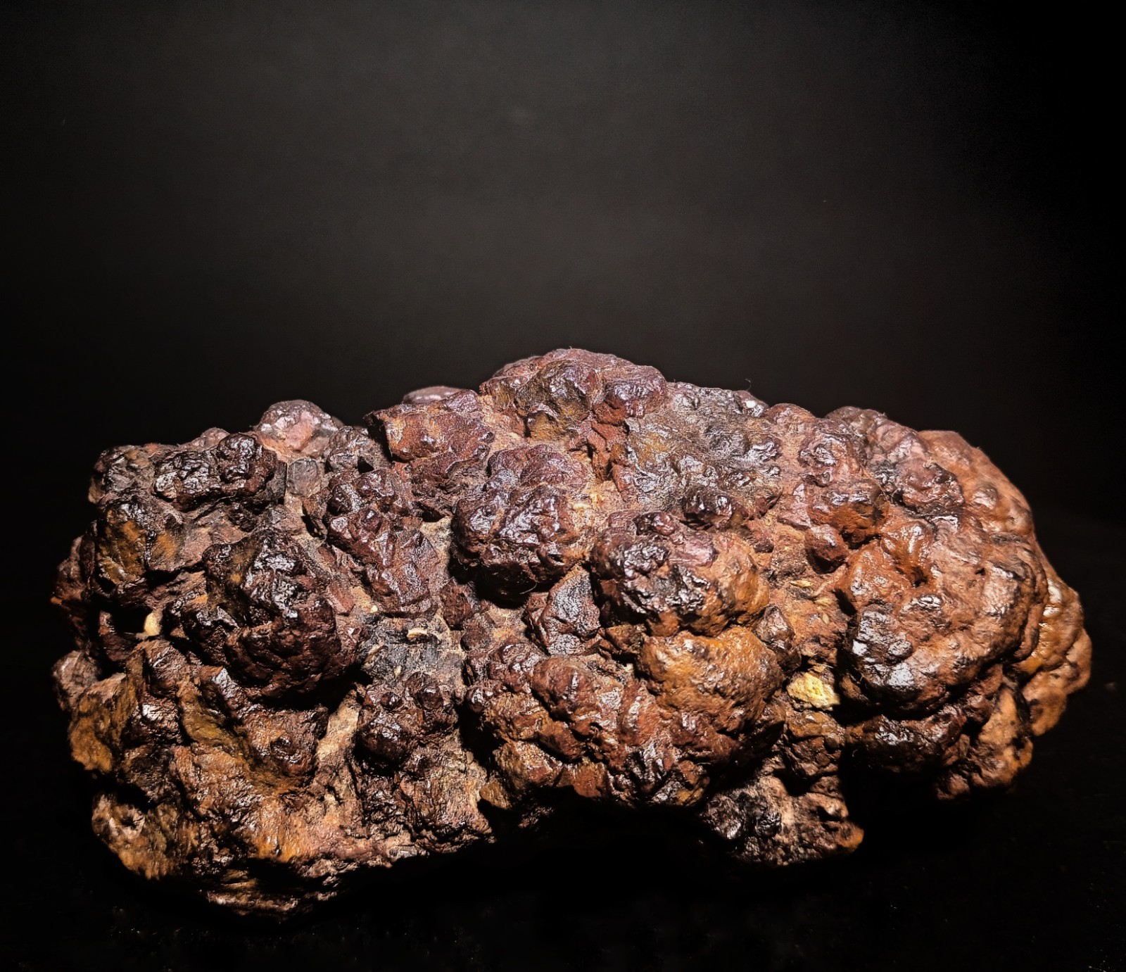 Large 2lb .2oz Botryoidal Hematite \