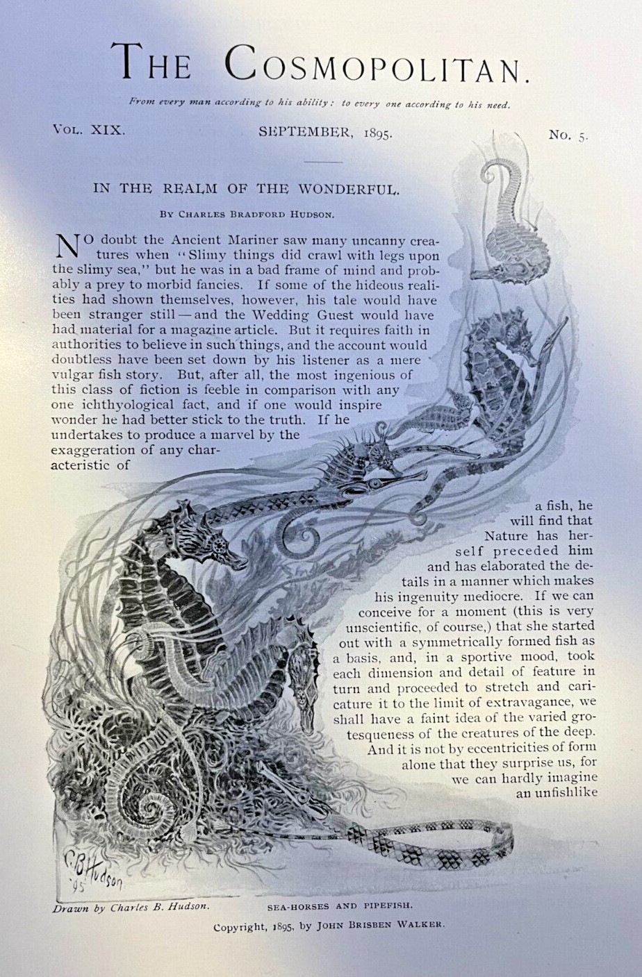 1895 Oceanography Life Under the Sea Ocean Life illustrated
