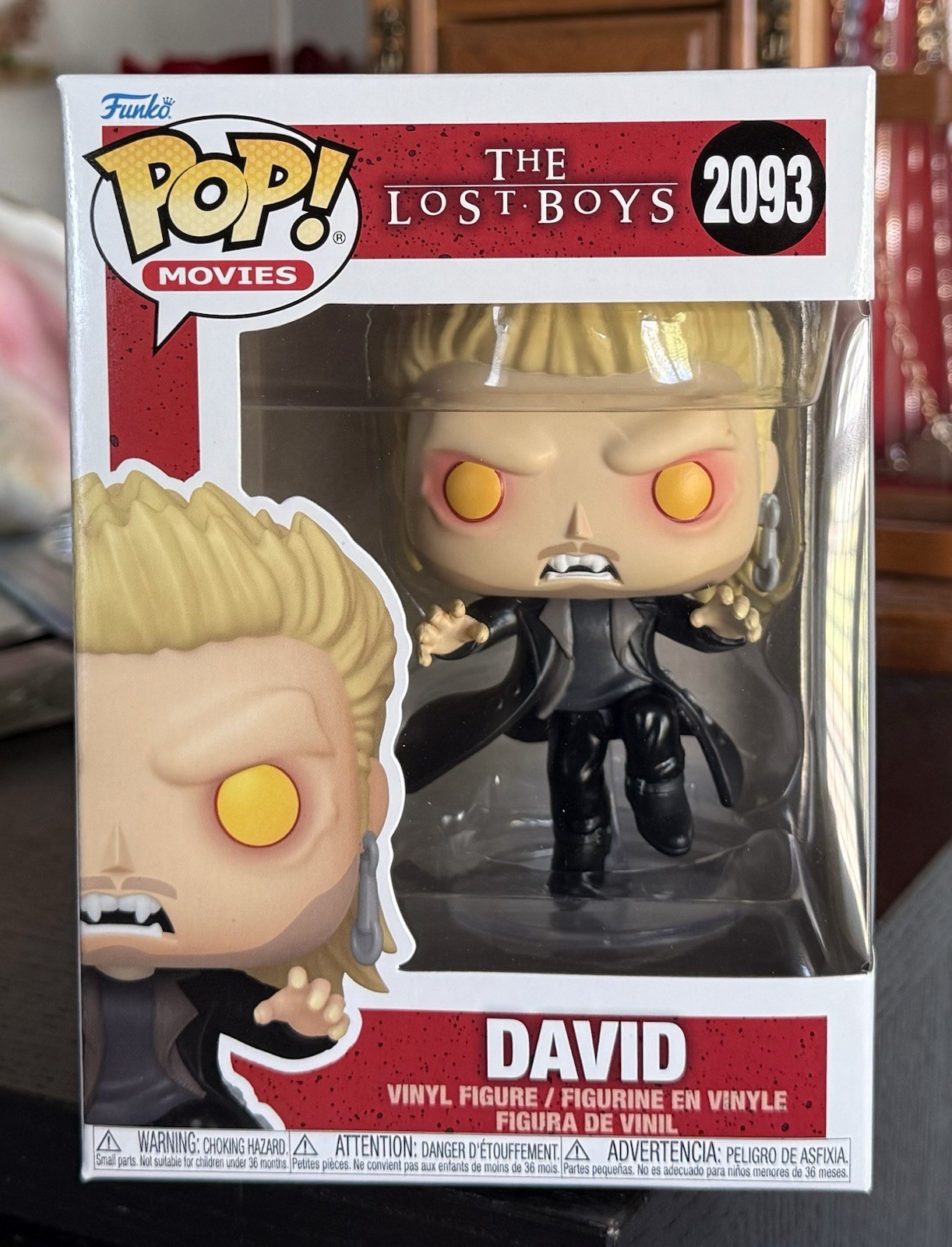 Funko Pop Movies: (Floating) DAVID #2091 (The Lost Boys) w/Protector IN HAND Funko Pop Movies: (Floating) DAVID #2091 (The Lost Boys) w/Protector IN HAND