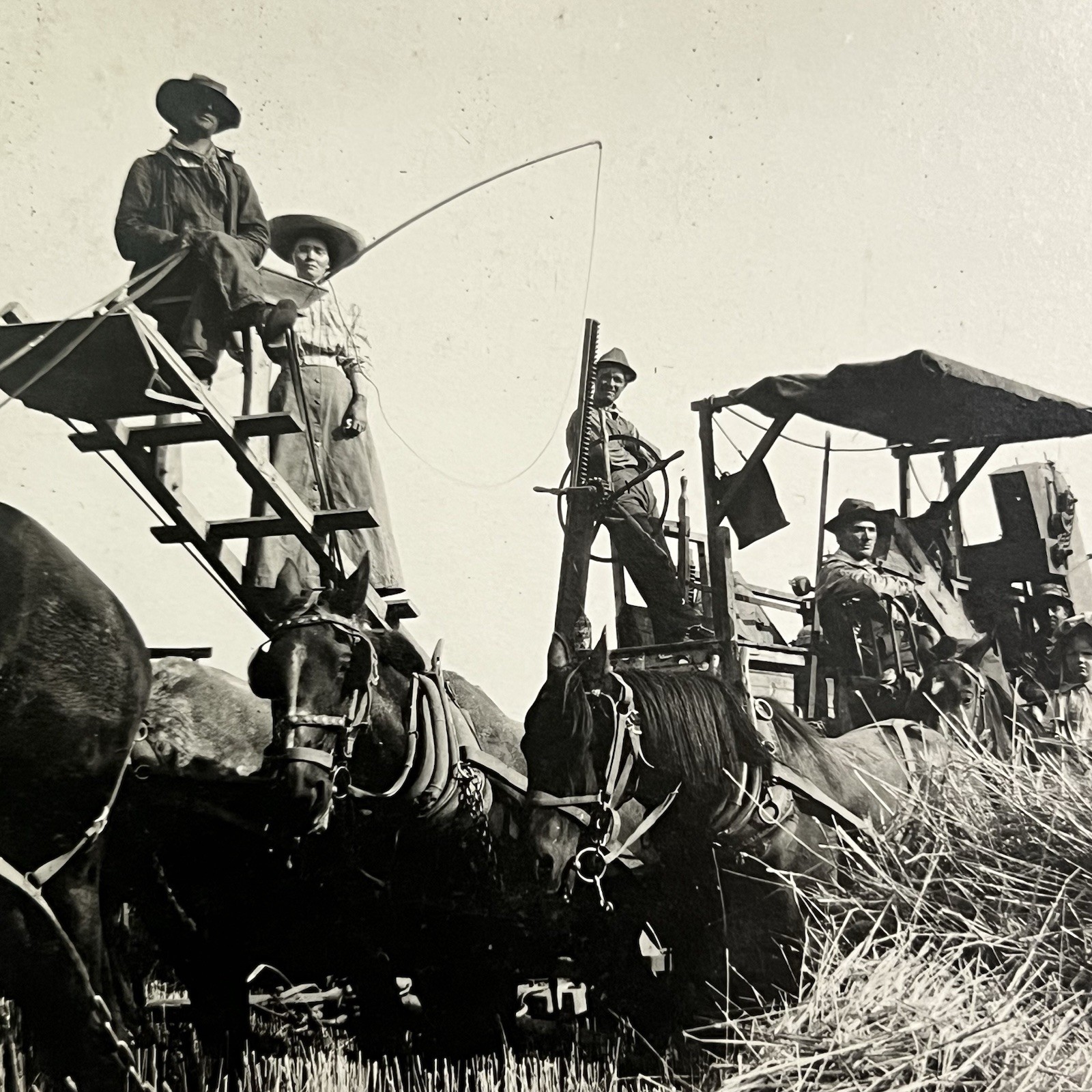 Antique RPPC Real Photograph Postcard Man Woman Horse Farm Equipment Machine