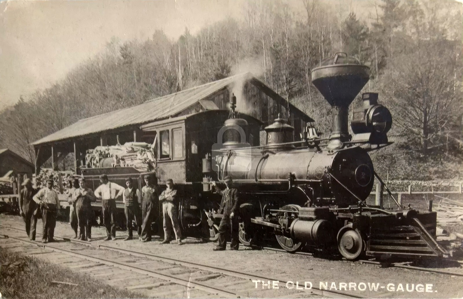 The Old Narrow Gauge Train West River Townshend VT RPPC Photo Postcard COPY