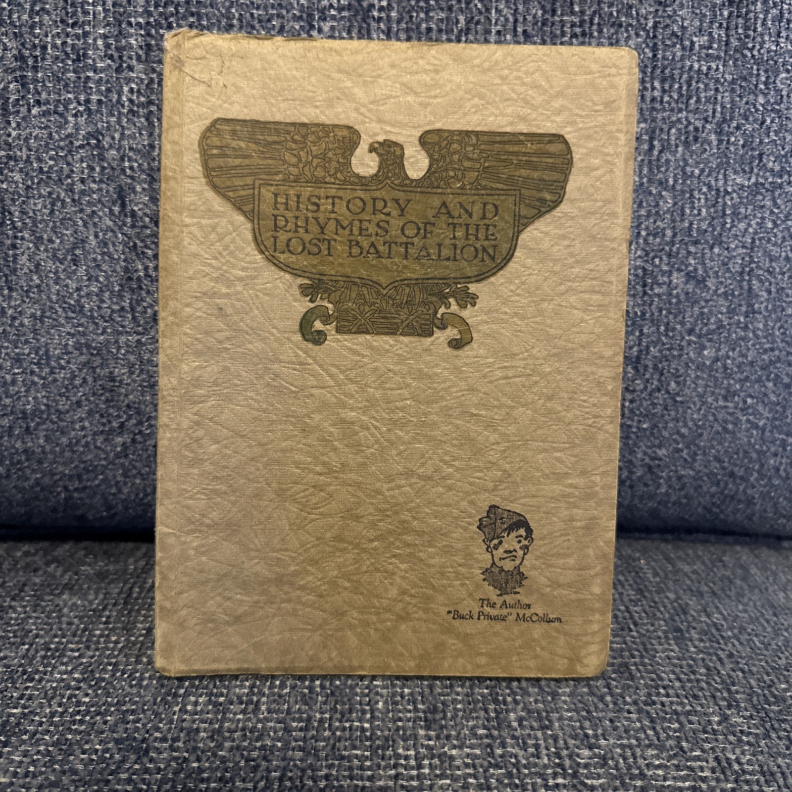 Rare 1925 WWI Book, ILLUSTRATED HISTORY & RHYMES OF THE LOST BATTALION