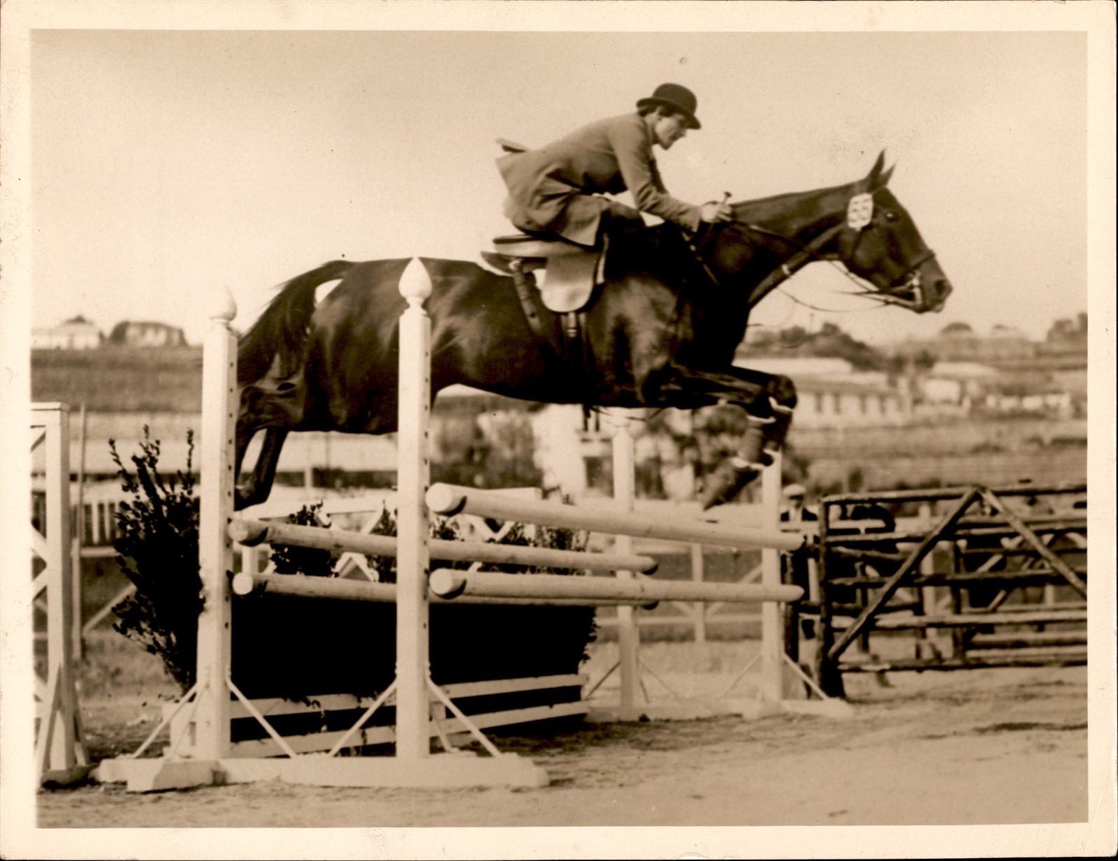 GA317 Approx 1920s Original Photo BARONESS DIEDA BERG HORSE JUMP SAN REMO ITALY