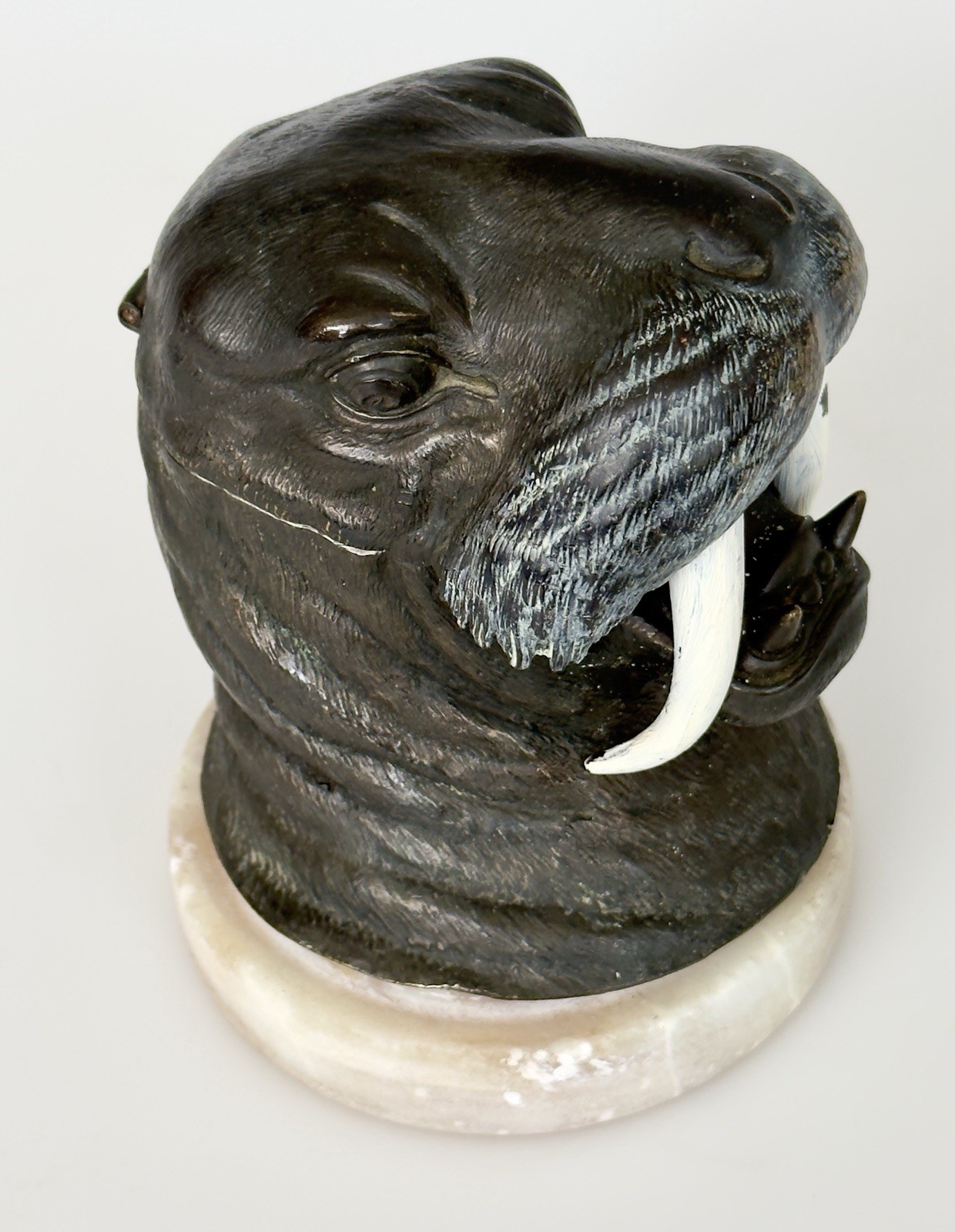 Walrus Head Cast Metal Inkwell on stone base