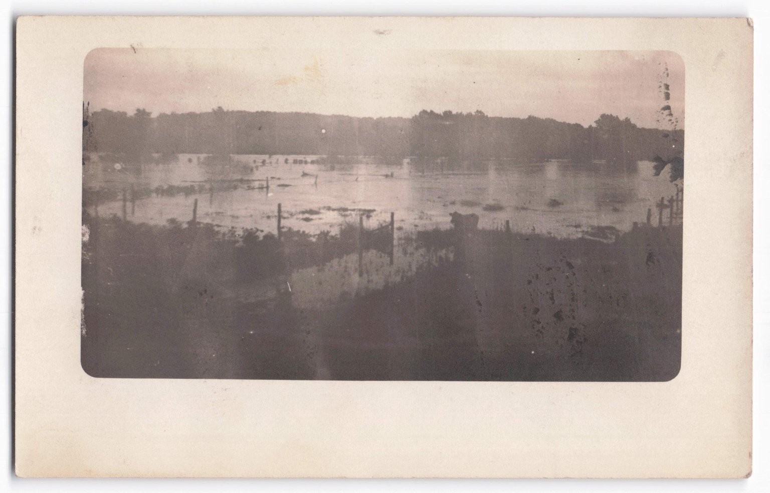 Vintage Real Photo Postcard Flooded Rural Landscape RPPC Early 1900s