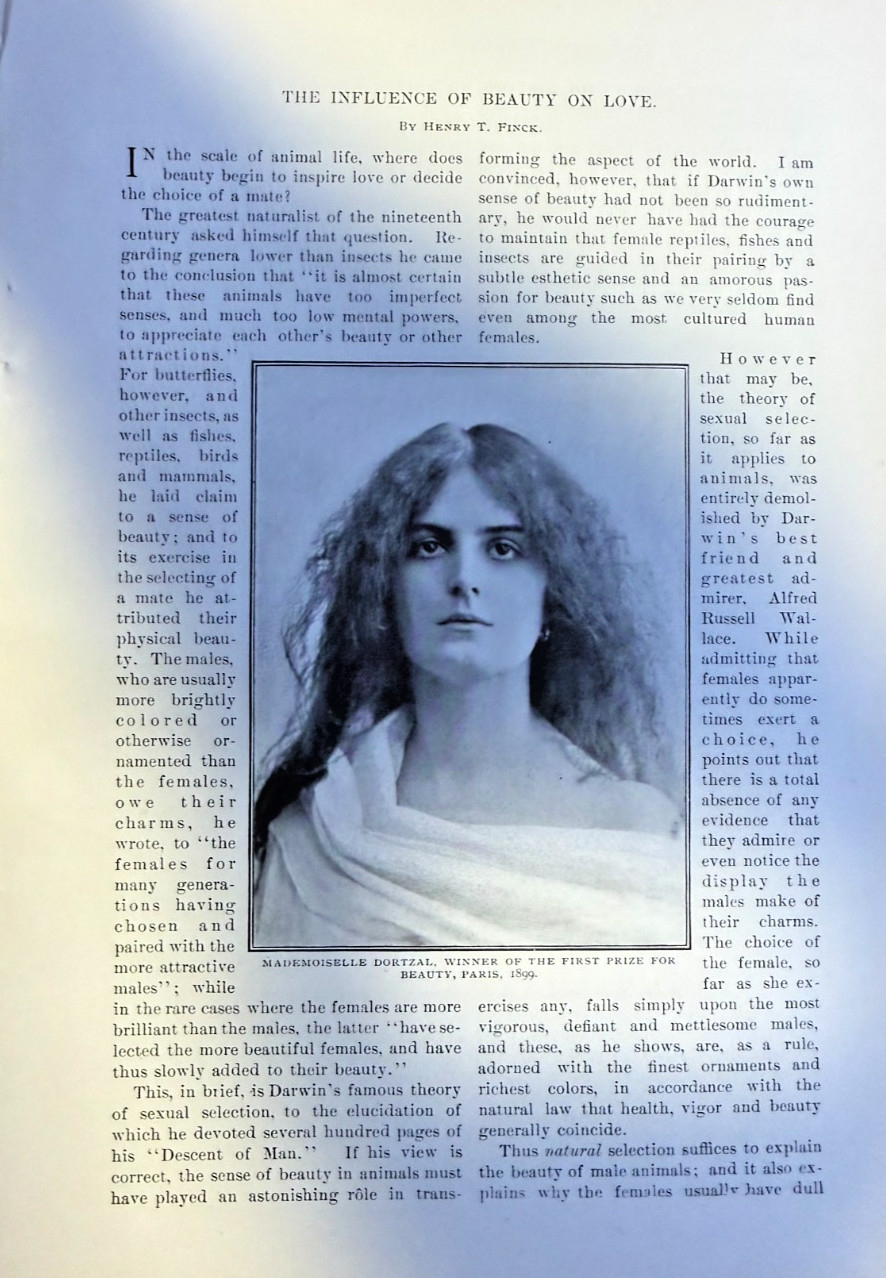 1901 Beautiful Women The Influence of Beauty on Love