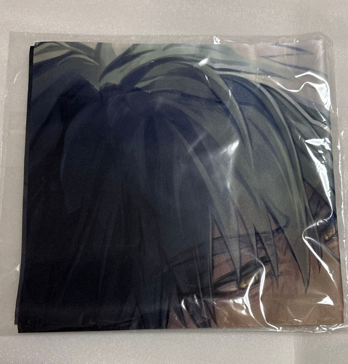 Slow Damage Towa × Madarame B2 Cloth Poster 2021 japan anime game