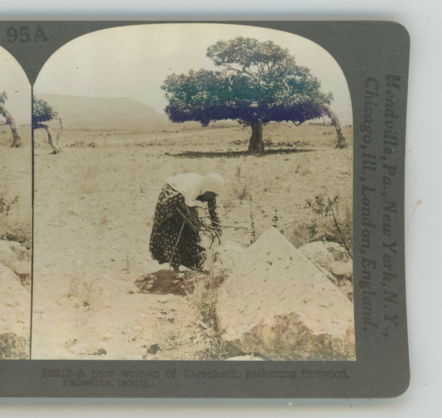 Poor Woman of Zarephath Gathering Firewood Palestine Keystone Stereoview