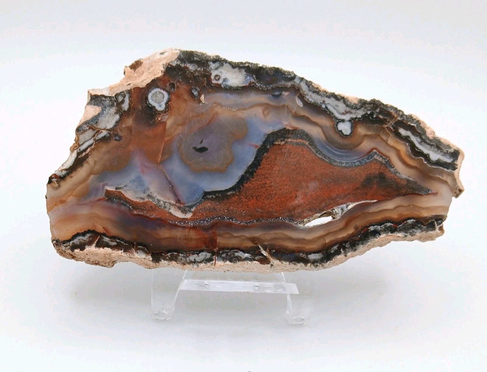 Texas Agate Slice- Face Polish-Cool Blue, Red & Orange Pattern (5\