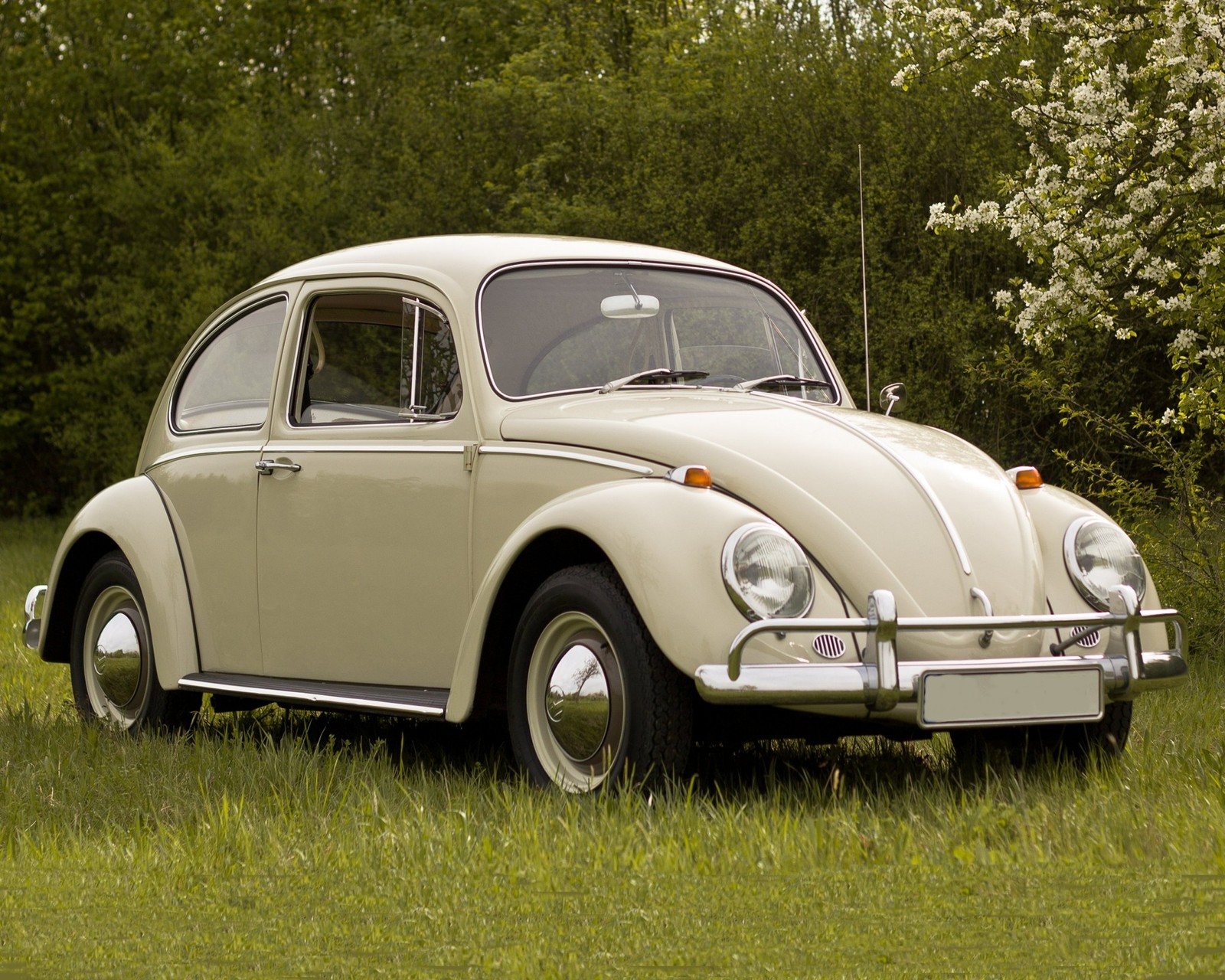  1966 VOLKSWAGEN Bug Photo (225-E)