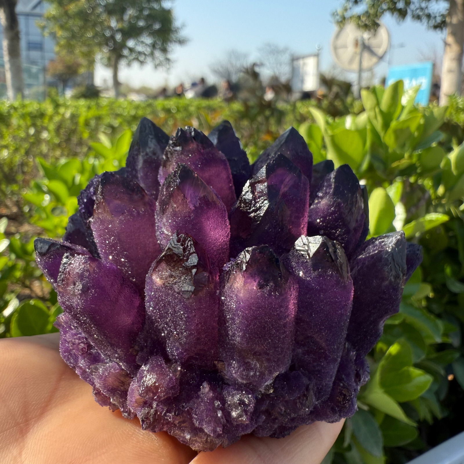 200g+ Natural Amethyst Quartz Cluster Crystal Mineral Healing Rock Stone1pc